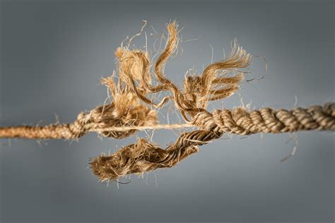  The Generous Rope: Unraveling Threads of Kindness and Selflessness Through a Persian Folktale